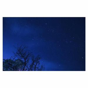 娇小japansex侵犯日本
