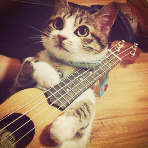 娇小japansex侵犯日本
